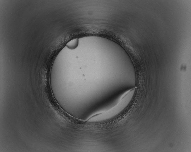 X0000089410685200707131801