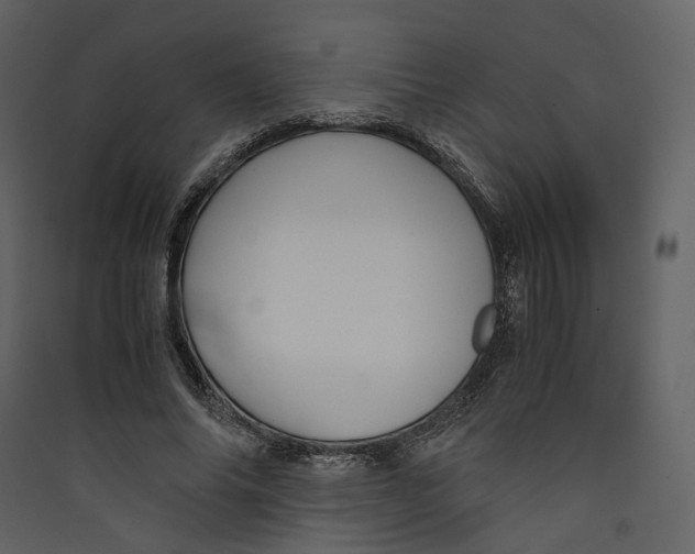 X0000089410686200707131801