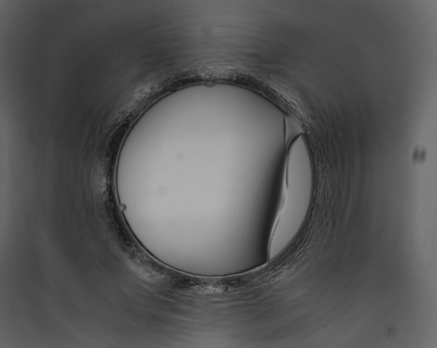 X0000089410687200707131801
