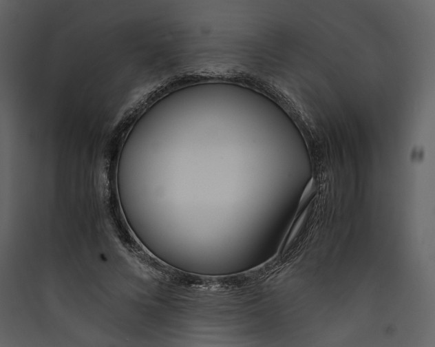 X0000089410688200707131801