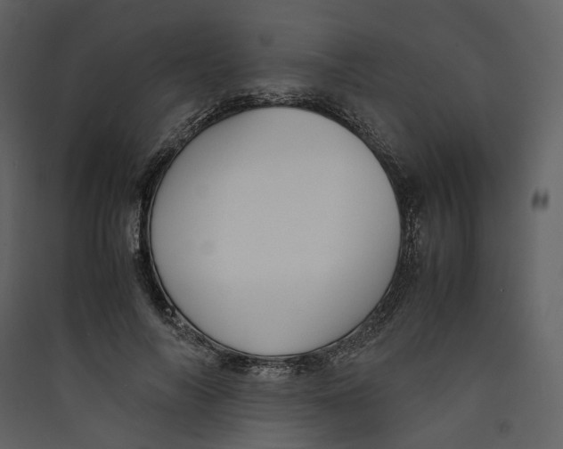 X0000089410694200707131801