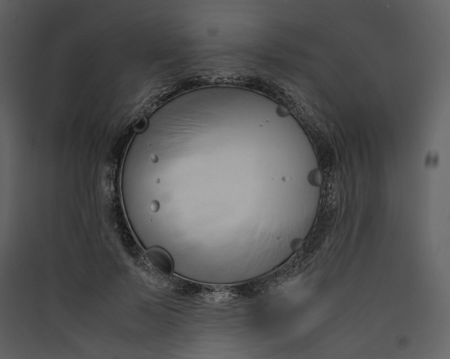 X0000089410695200707131801