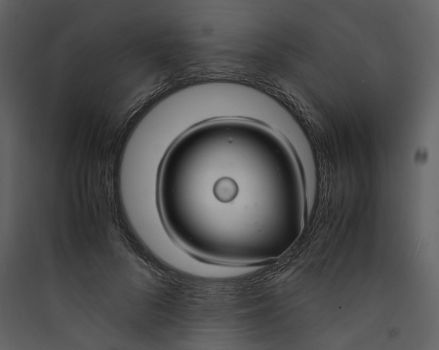 X0000089410696200707131801