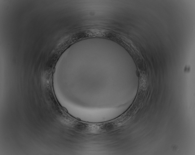 X0000089410701200707131801