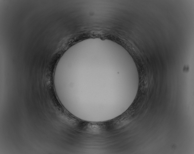 X0000089410706200707131801