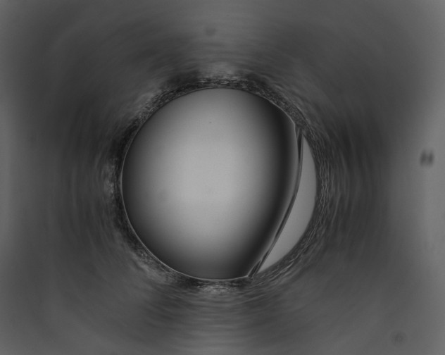 X0000089410708200707131801