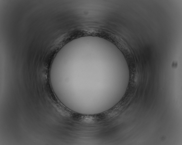 X0000089410710200707131801