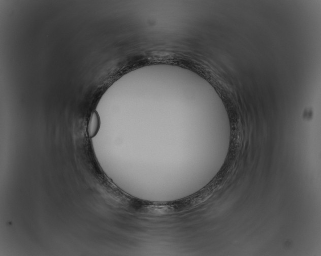 X0000089410711200707131801
