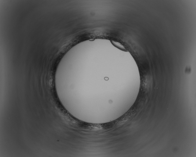 X0000089410715200707131801