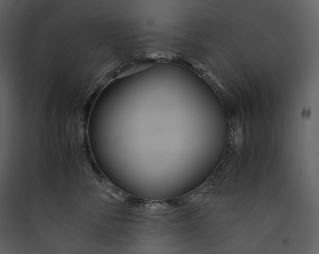 X0000089410716200707131801