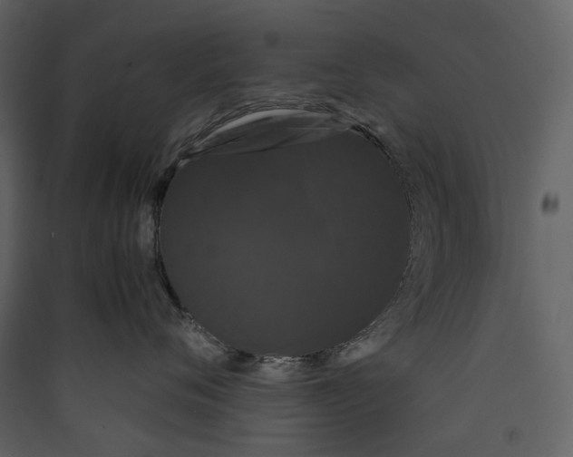 X0000089410720200707131801