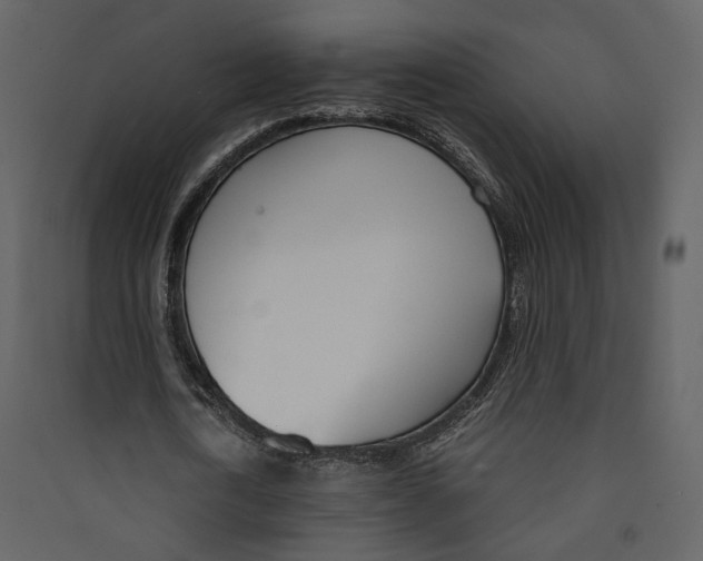 X0000089410722200707131800