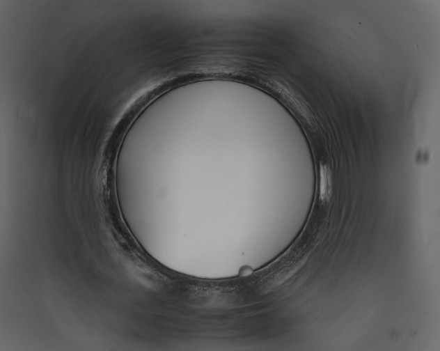 X0000089410723200707131800