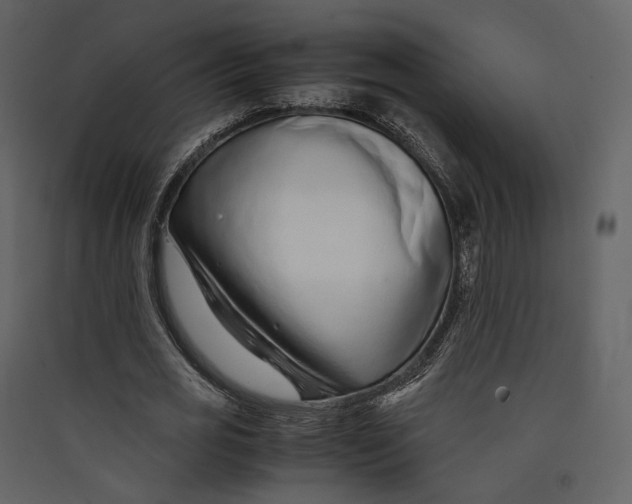 X0000089410725200707131800