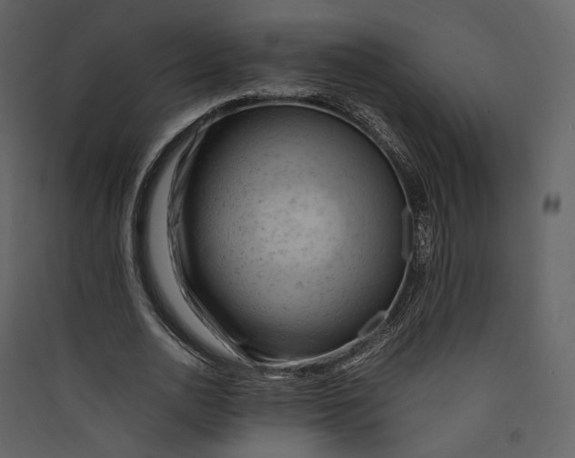 X0000089410726200707131800