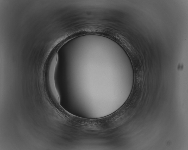 X0000089410727200707131800