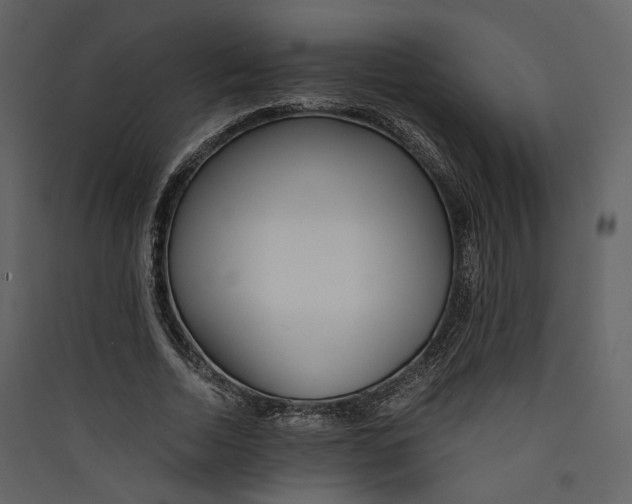 X0000089410730200707131800