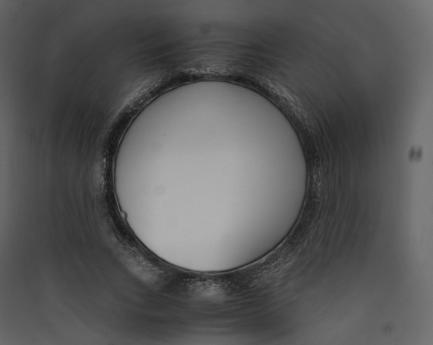 X0000089410735200707131800