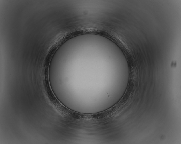 X0000089410738200707131800