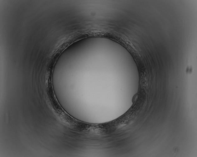 X0000089410742200707131800
