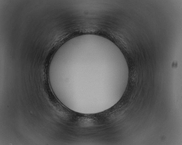 X0000089410743200707131800