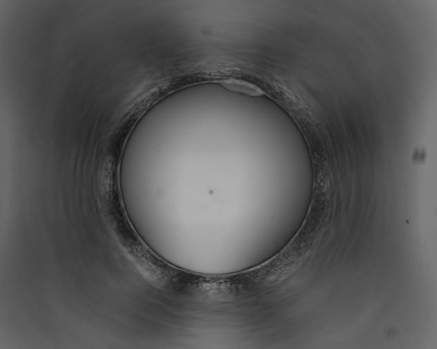 X0000089410744200707131800