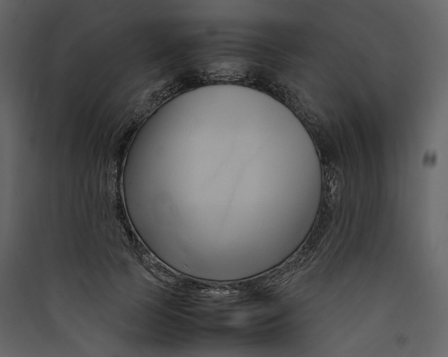 X0000089410745200707131800
