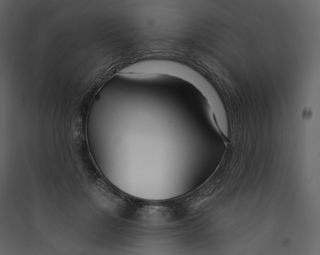 X0000089410748200707131800