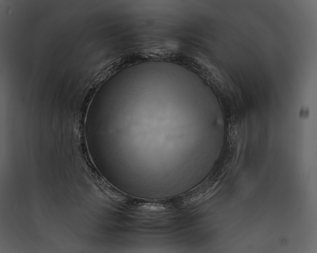 X0000089410749200707131800