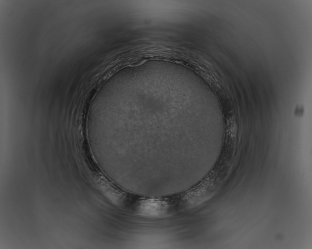 X0000089410754200707131801