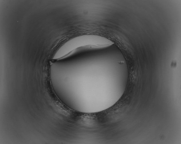 X0000089410756200707131801
