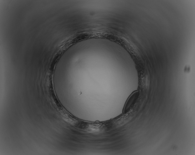X0000089410757200707131801
