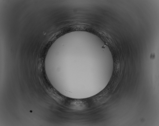X0000089410759200707131801