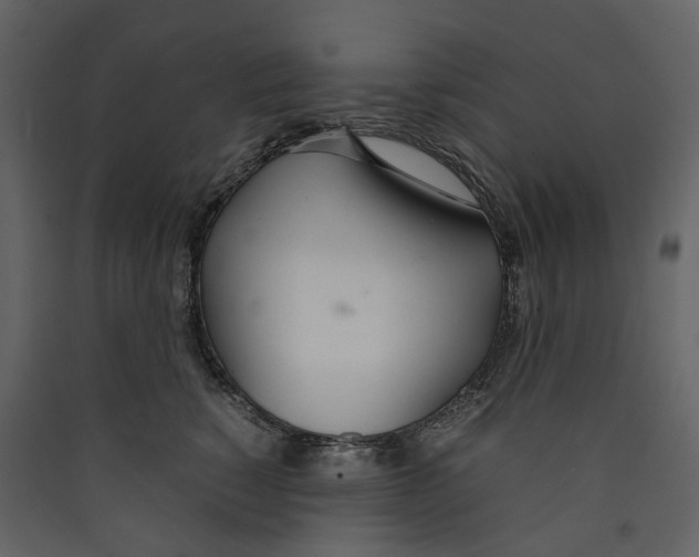 X0000089410760200707131801