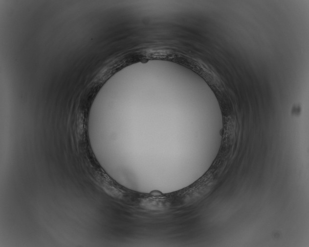 X0000089410761200707131801
