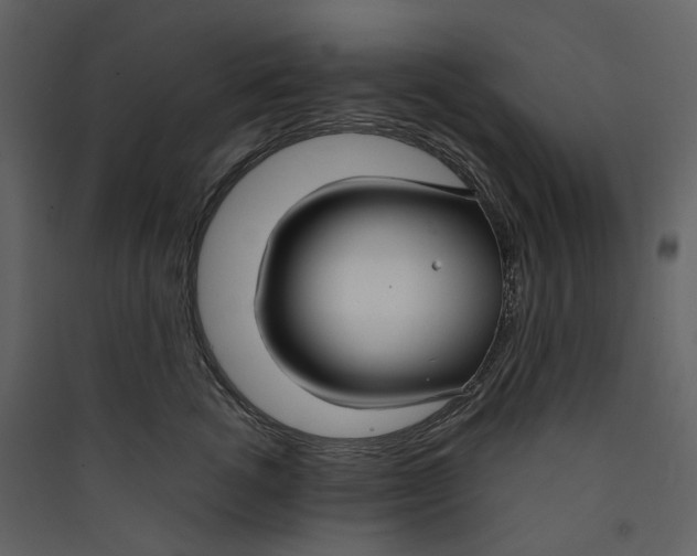 X0000089410762200707131801