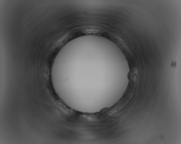 X0000089410763200707131801