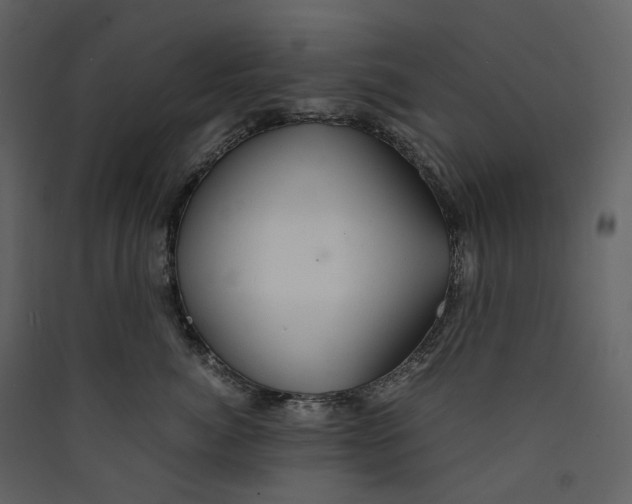 X0000089410764200707131801
