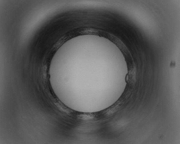 X0000089410765200707131801