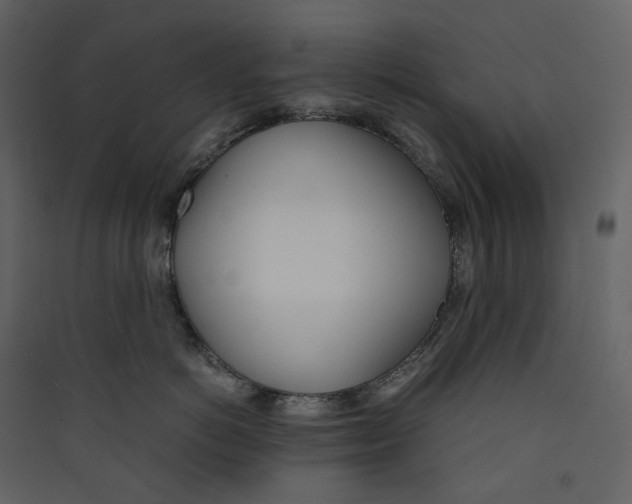 X0000089410766200707131801