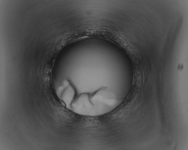X0000089410770200707131800