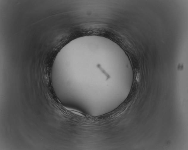 X0000089410771200707131800