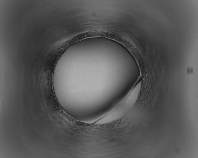 X0000089410773200707131800