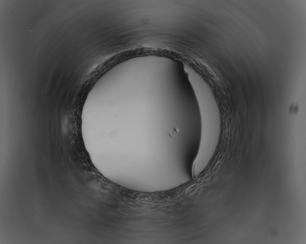 X0000089410776200707131800
