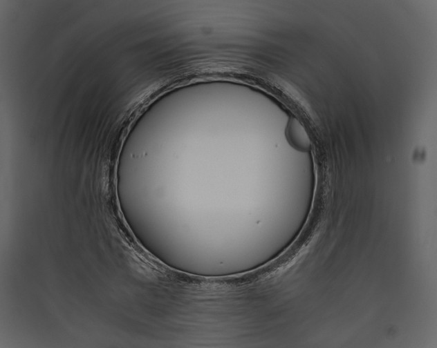 X0000089410777200707131800