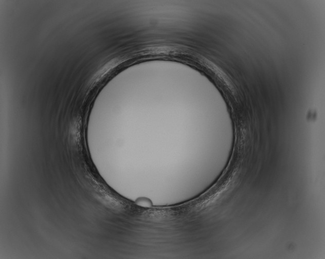 X0000089410778200707131800