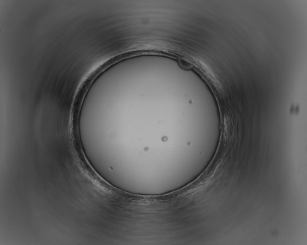 X0000089410780200707131800