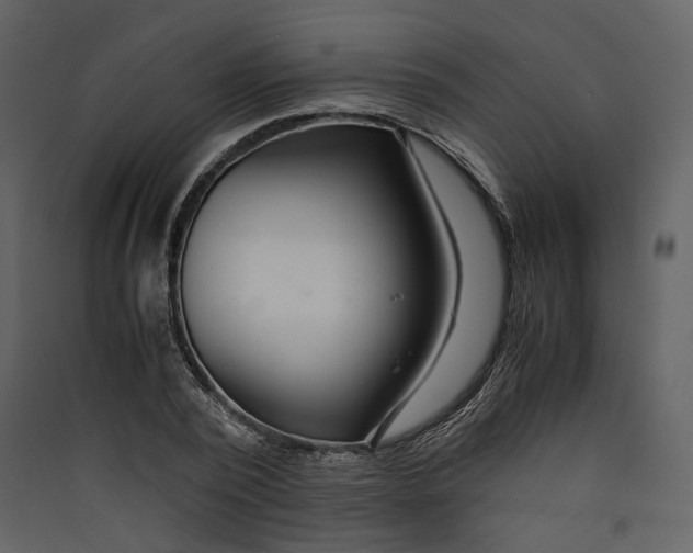 X0000089410784200707131800