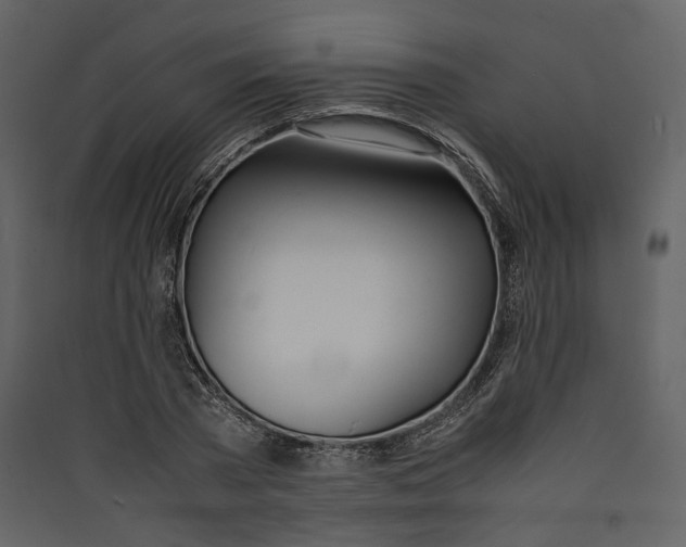 X0000089410785200707131800