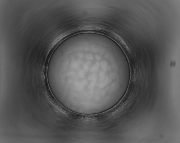 X0000089410786200707131800